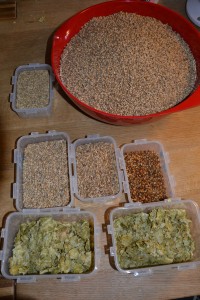 Grundingredienserne i ølbrygning - basismalt, karamelmalt, og humle