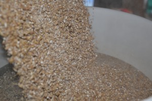 Den knuste malt hældes i det varme vand og mæskningen startes