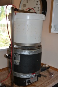 Siningen af urten foregår ved at hæve filterspanden op af gryden