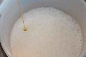 Den afkølede urt ender nede gæringsspanden - den må gerne 'plaske', så der iltes.