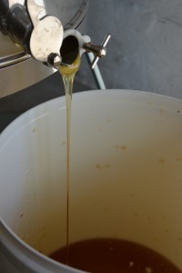 Den nyhøstede honning løber ned i tappespanden